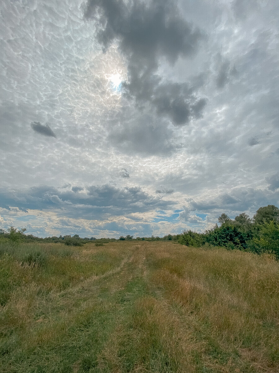 Мне нравится фотографировать такие прекрасные моменты 🥰.