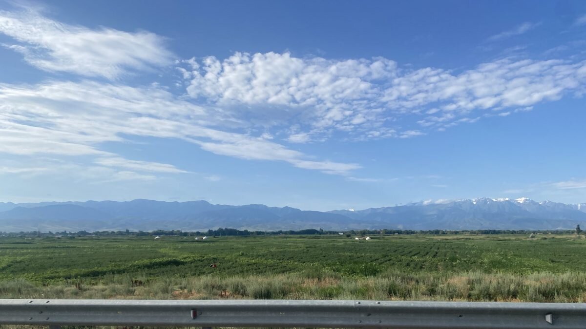    Фото: Август Макаров