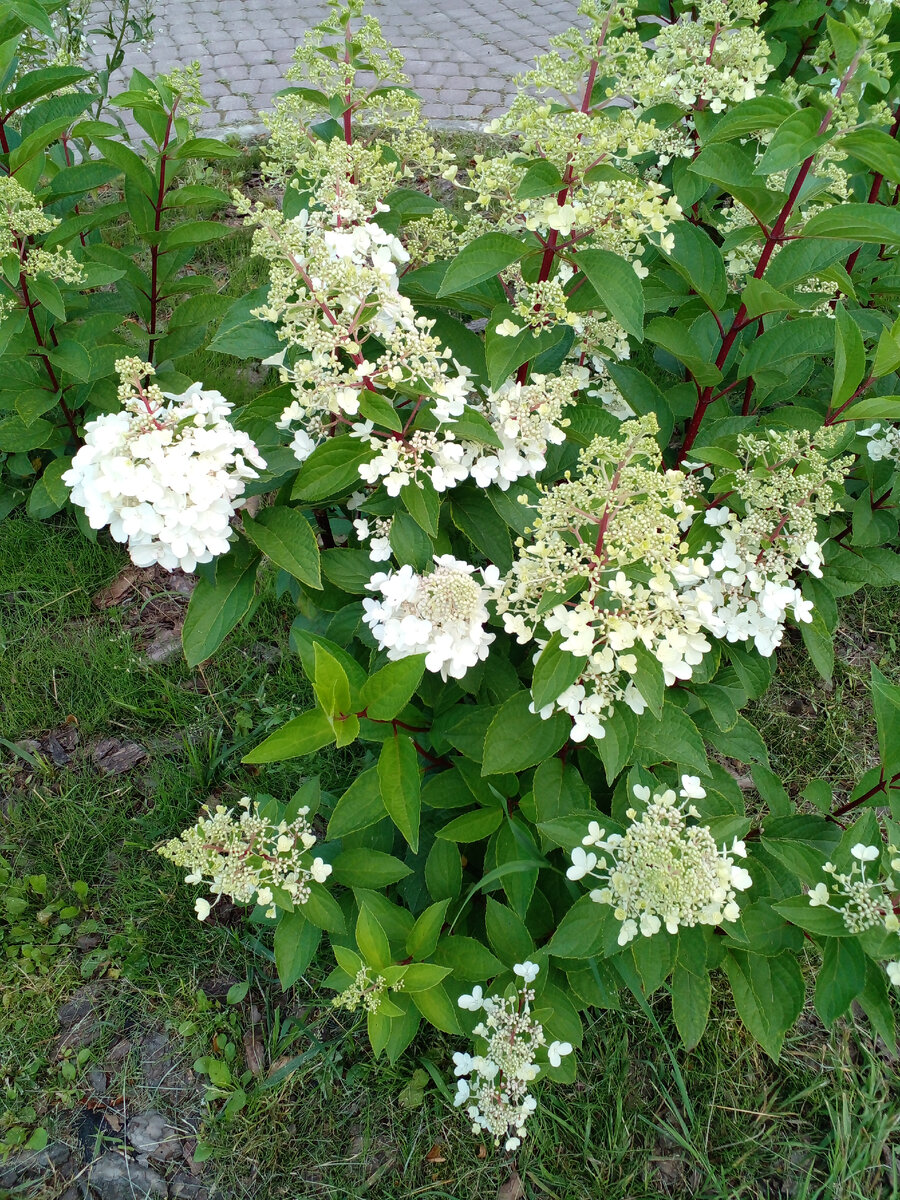 личное фото Смирновой Н.Е