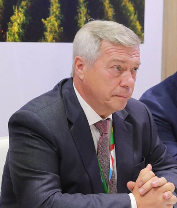 Источник фото: официальный сайт правительства РО