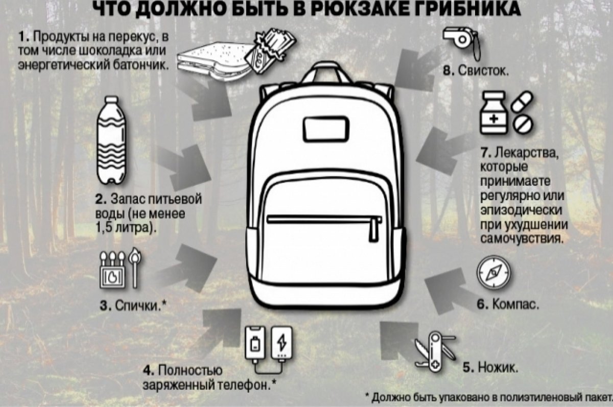    Хочешь спать, но идёшь в лес.