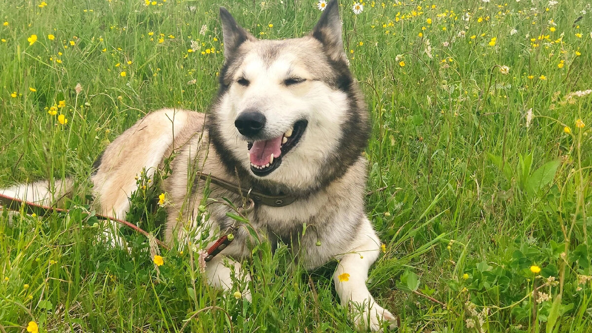 Но  мы  знаем, что  самые счастливые минуты для  девочки- когда рядом  есть  человек!  