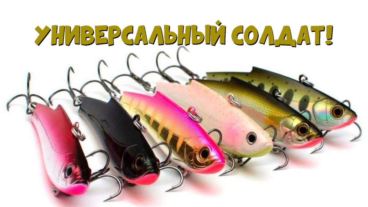 лучшая приманка для поиска рыбы