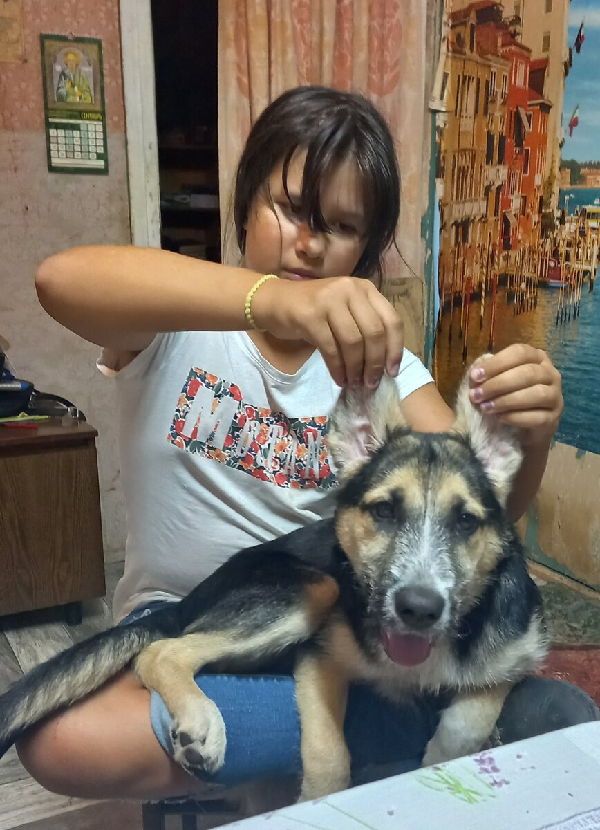 Алёнка и Дана, которую мы недавно взяли из приюта по дочкиной инициативе