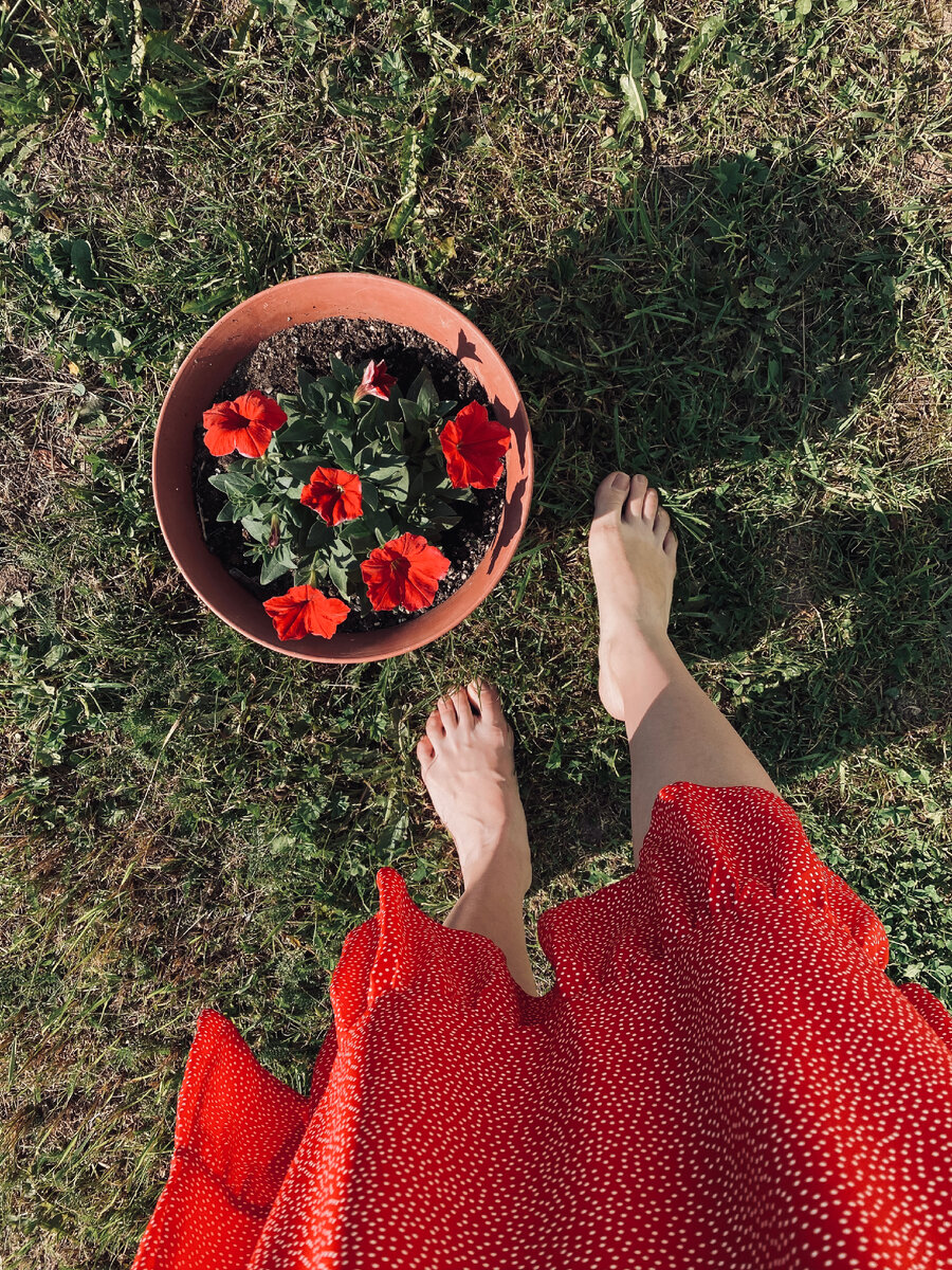 Красота и вдохновение есть каждый день 