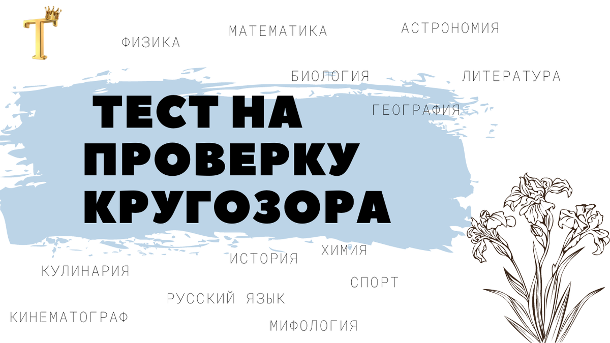 Ежедневный тест на проверку кругозора №873 (12 вопросов) |  Тесты.Перезагрузка | Дзен