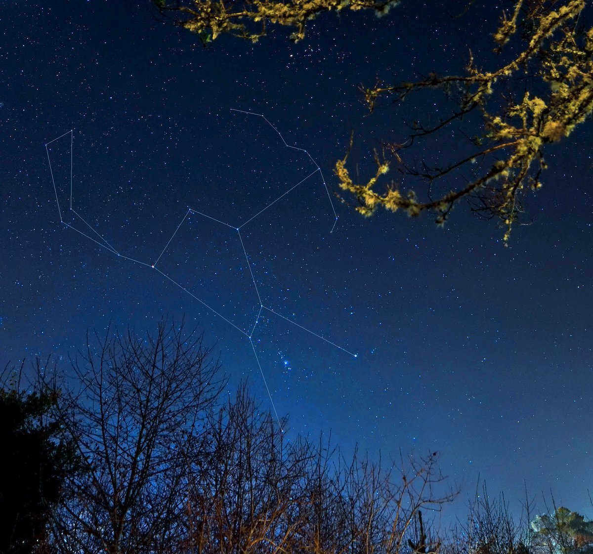 Созвездие Ориона