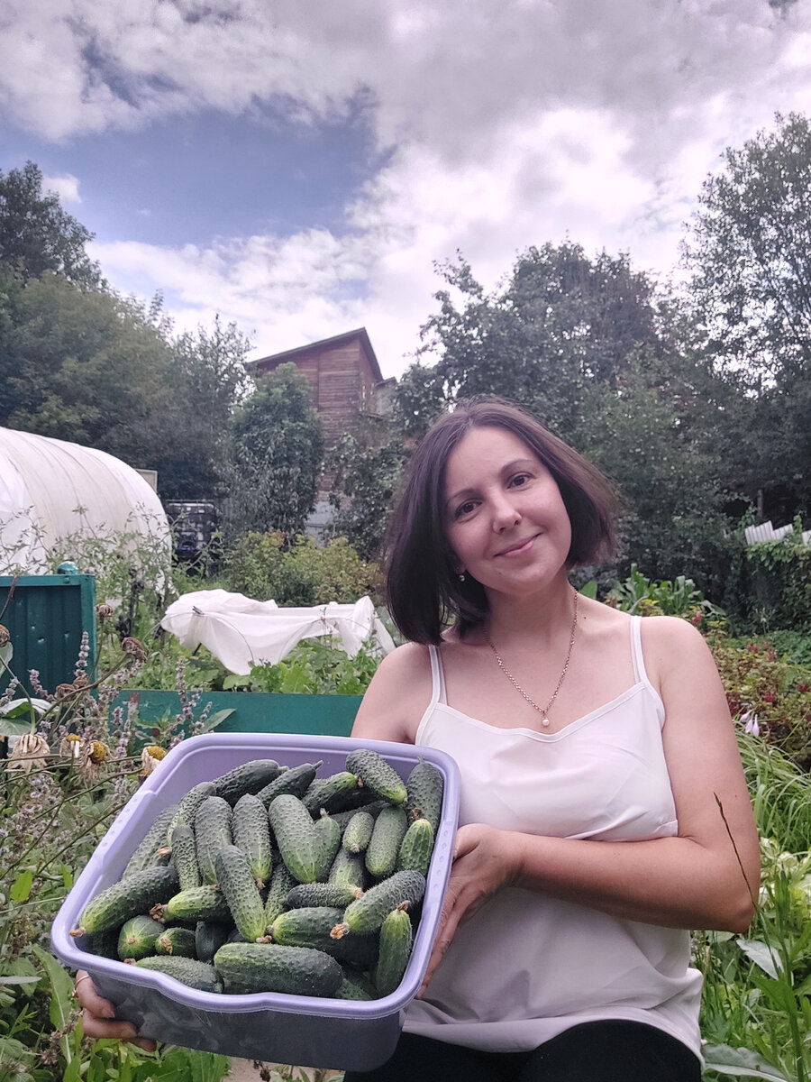 Маринованные огурчики по Болгарски БЕЗ СТЕРИЛИЗАЦИИ 🥒🧂🍽️ | Мама на  диване | Дзен