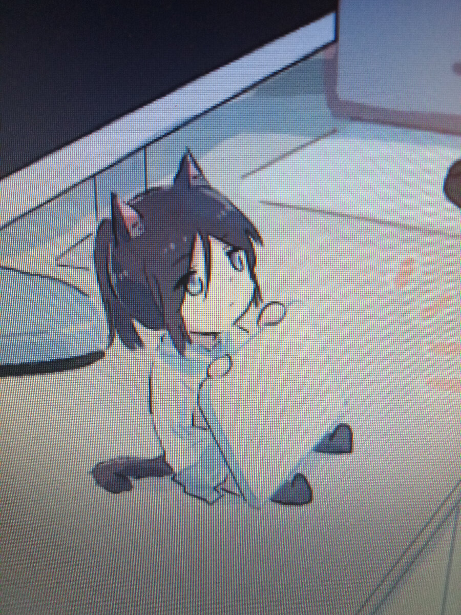 фото автора сфотал монитор