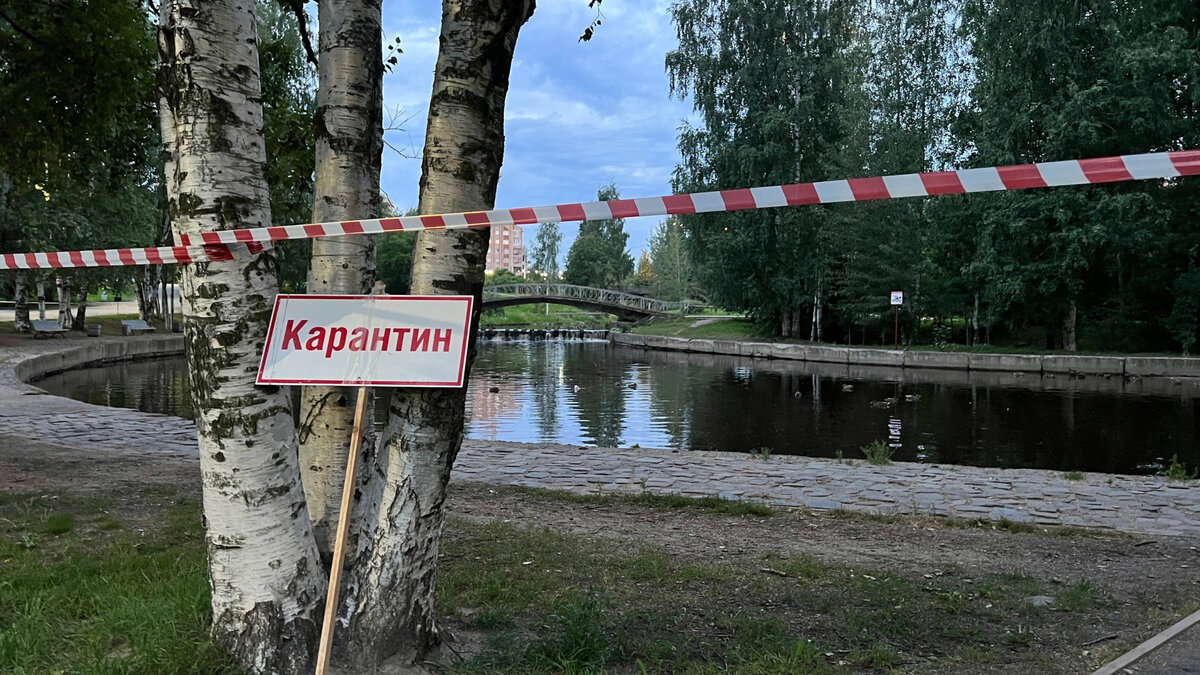     На месте массового убийства под Петрозаводском обнаружено тело еще одной жертвы. Водитель устроил дрифт-шоу в центре столицы РК. На двух территориях Карелии введен карантин по птичьему гриппу. О чем говорили в эту пятницу.