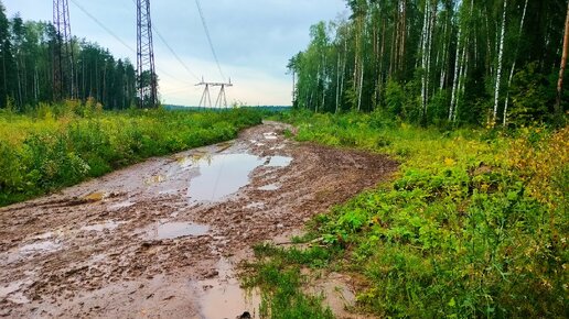 Ехать или не ехать? Решили ехать😄