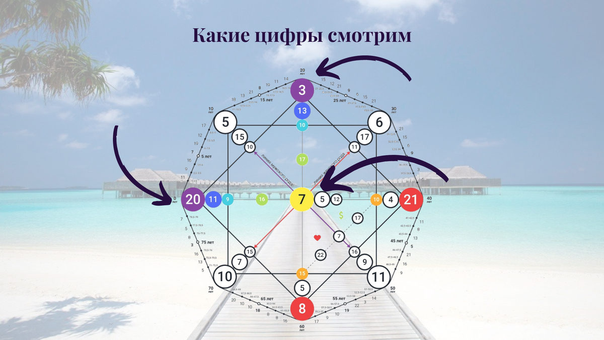 Смотрим цифры в фиолетовых кружочках и желтом