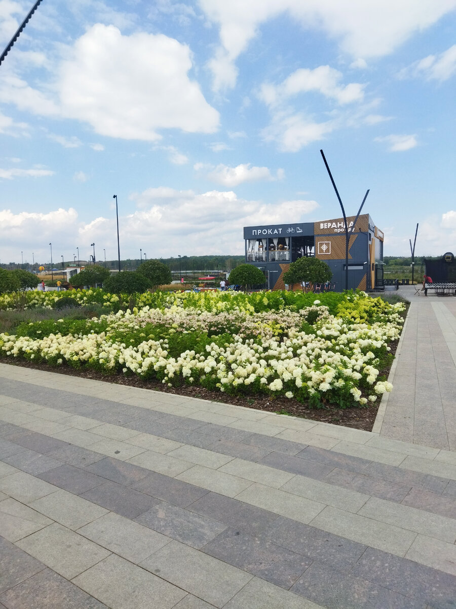 И тут гортензии. В пункте проката можно взять велосипеды и ролики. В этом же здании - летняя веранда кафе Чечки-бречки