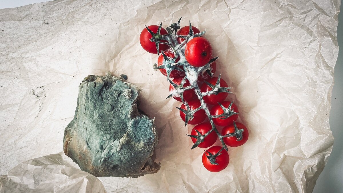     Карантин установлен в одном из муниципалитетов Ростовской области из-за распространения опасного для помидоров вируса, сообщили в Россельхознадзоре.