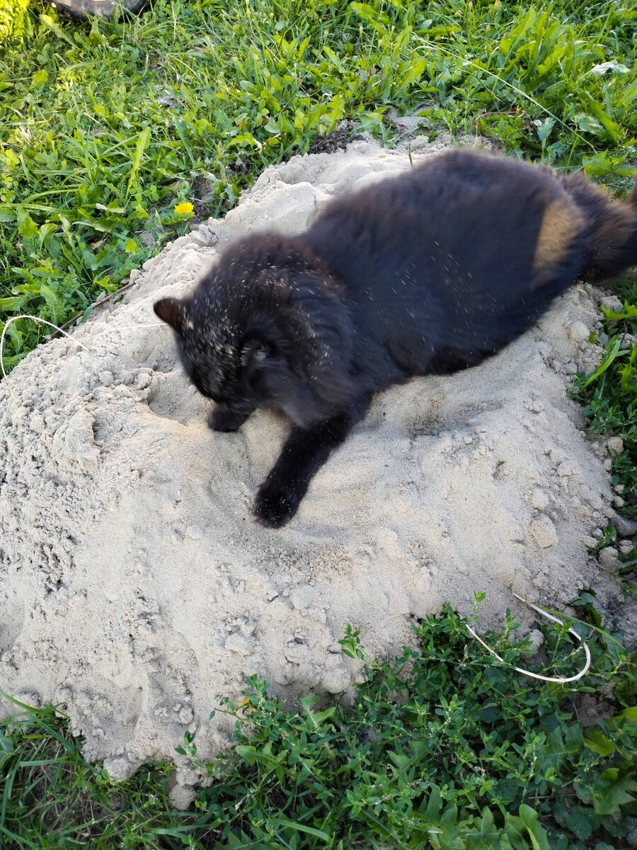 Песочку мне насыпали. В куличики поиграю!