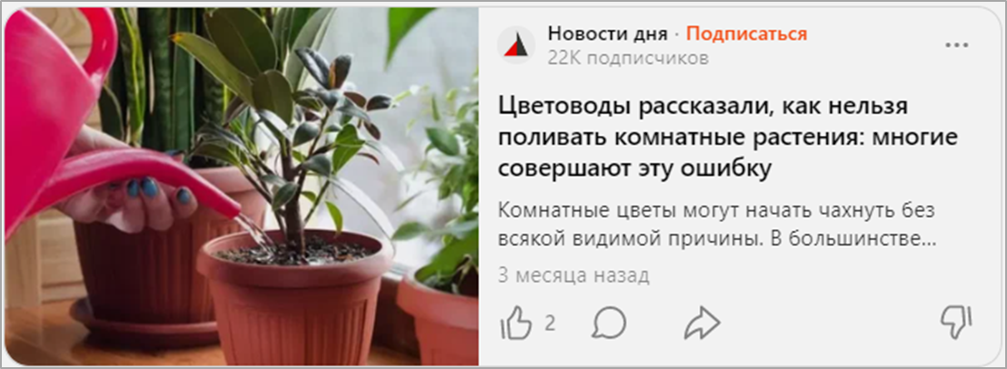 "Цветоводы рассказали, как нельзя поливать комнатные растения: многие совершают эту ошибку"