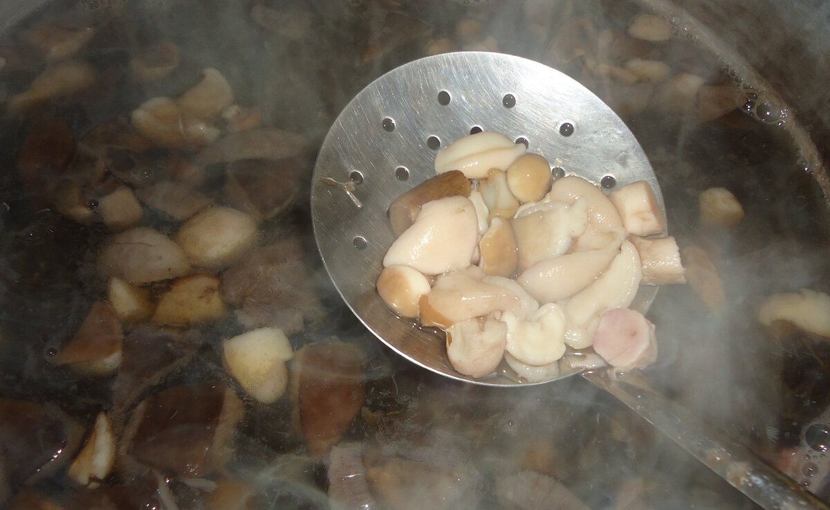 Самые свежие рецепты для Вас!