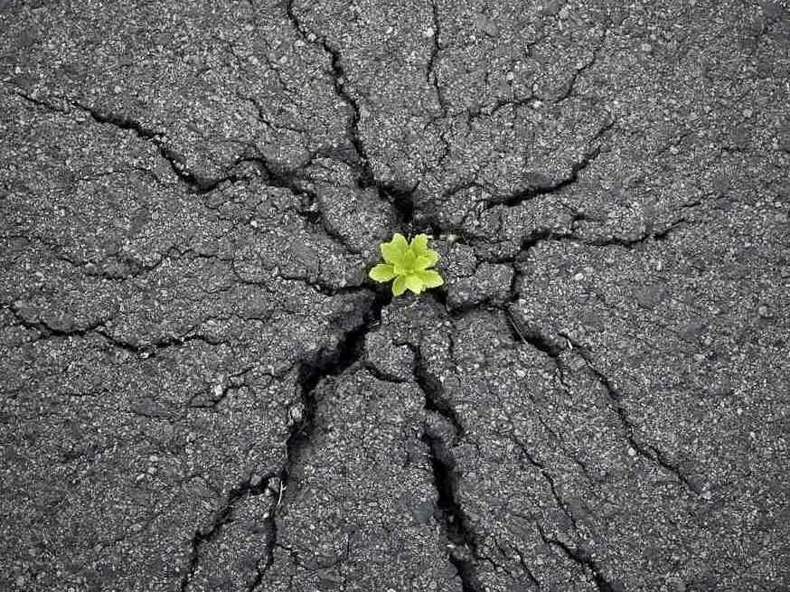 Картинка из интернета 