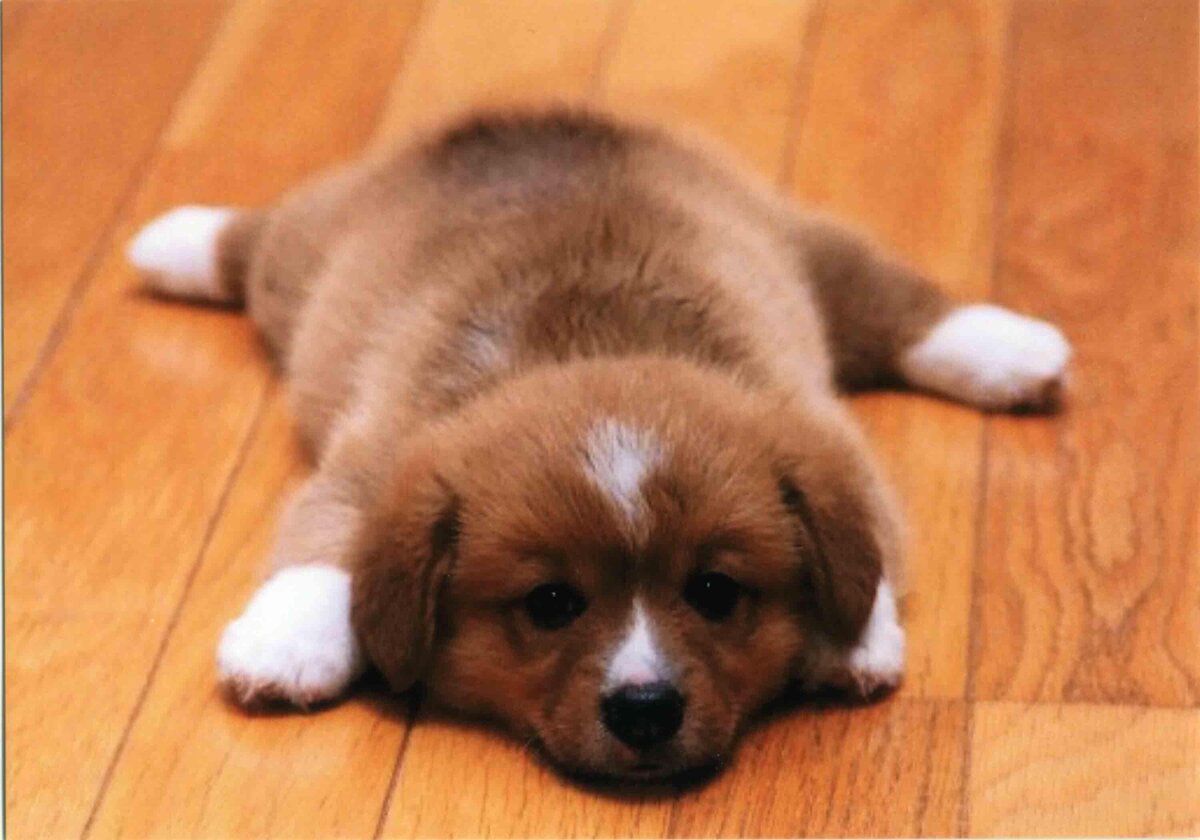 Фото из интернета