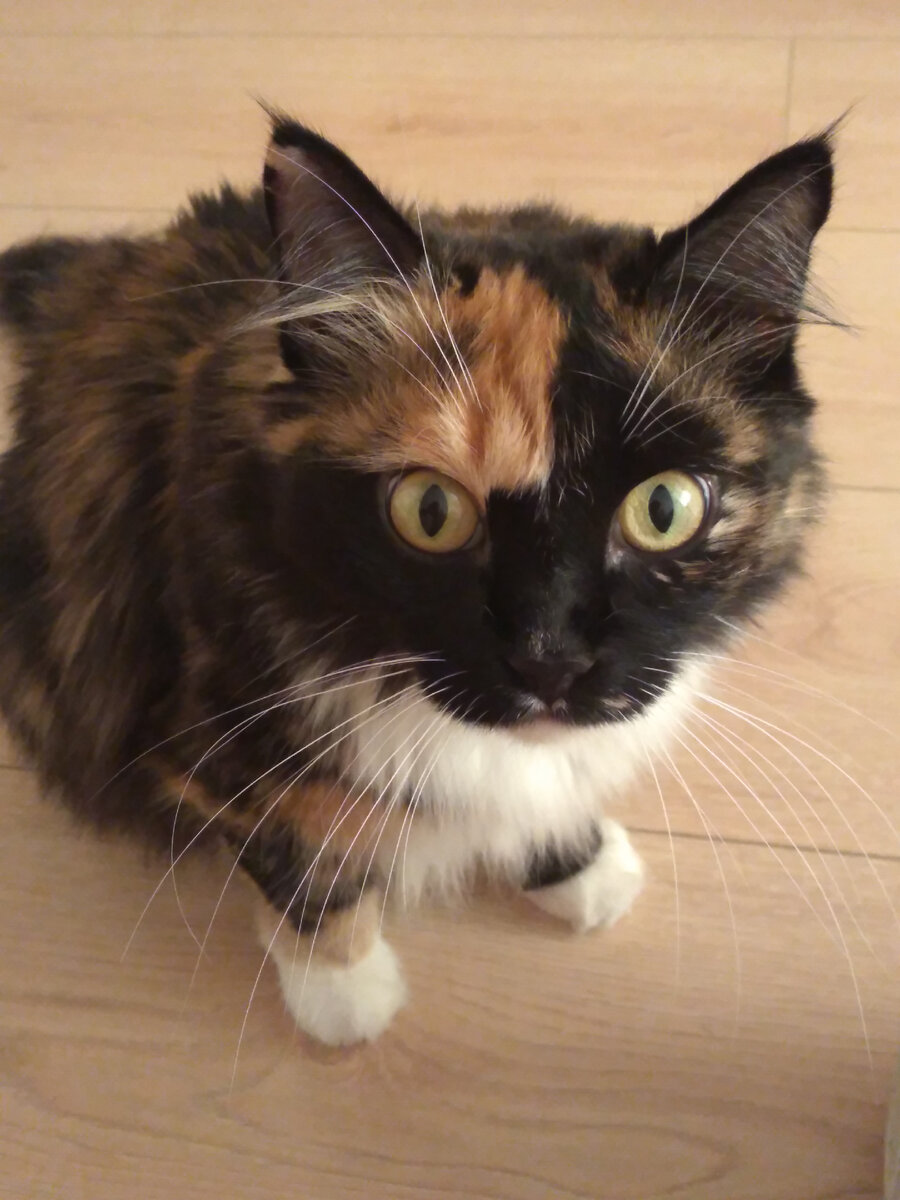 Как? Меня ругать? За что???