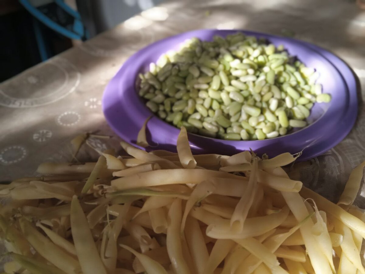 Фасоль для салата 