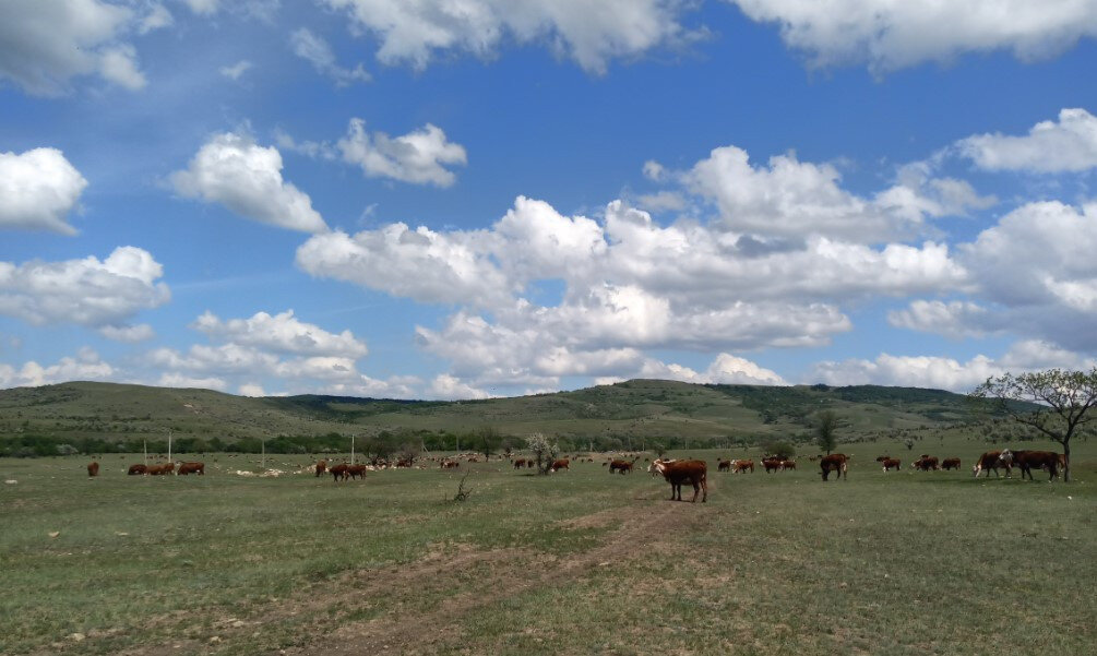   ГТРК "Ставрополье"