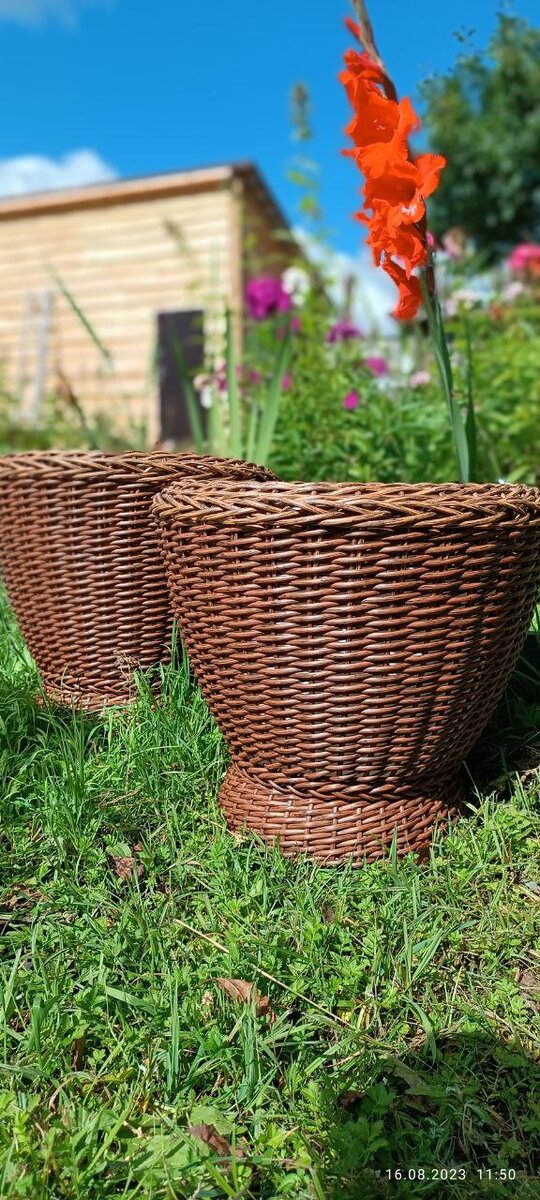 Вазоны для входной группы