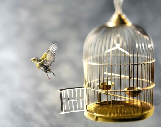 Источник: Pinterest