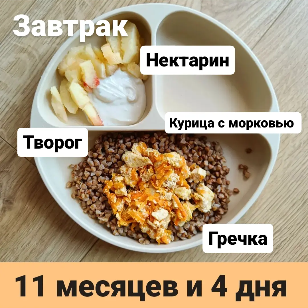 Пример тарелки в 11 месяцев 