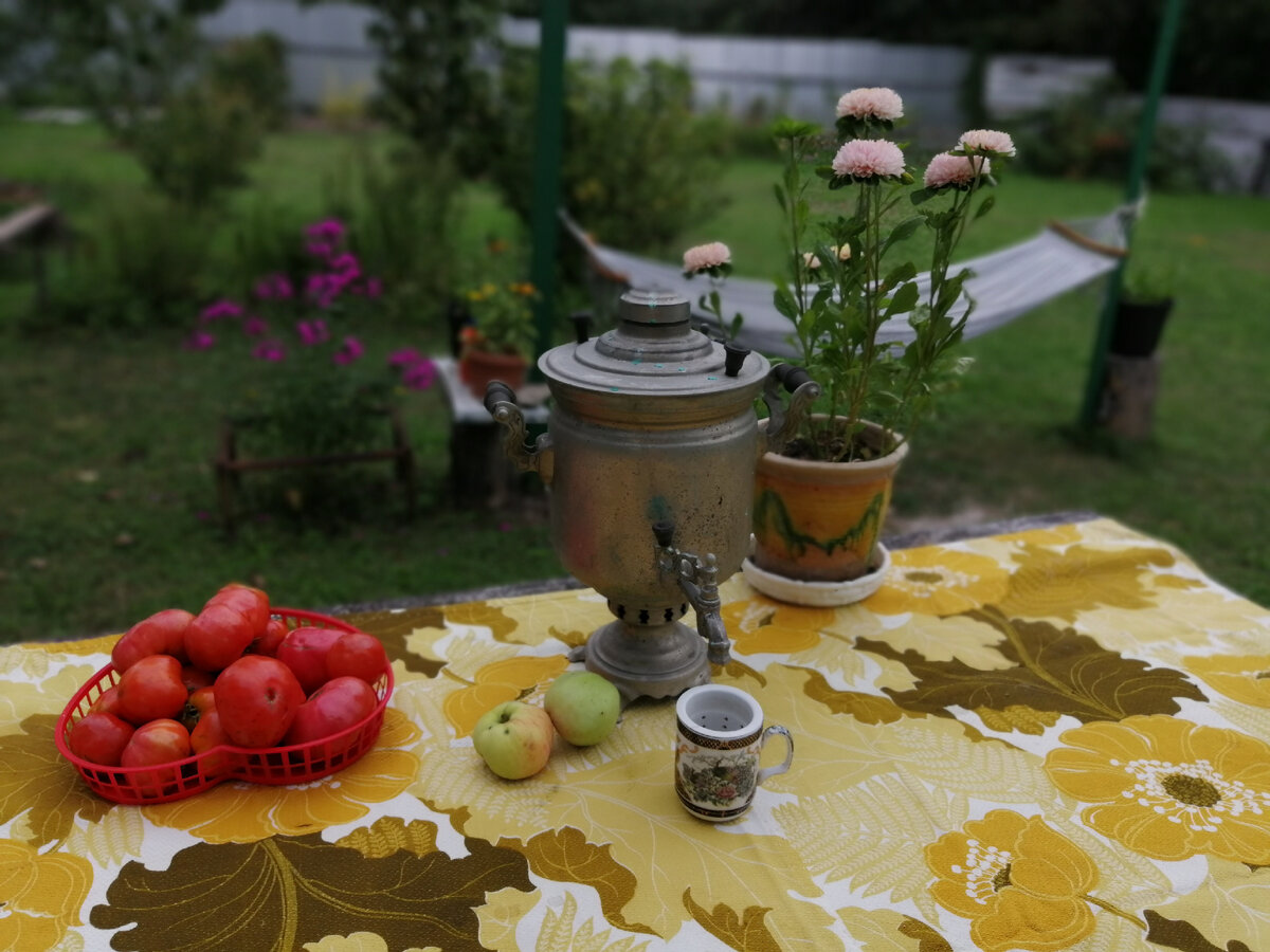 Типично деревенская картина: самовар старинный для дизайна, не разу не использовался по назначению, помидоры с грядки, упавшие с дерева яблоки и астры.