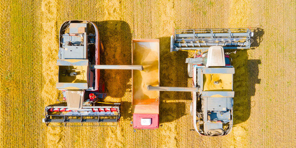     В Ивановской области ожидается рекордный урожай