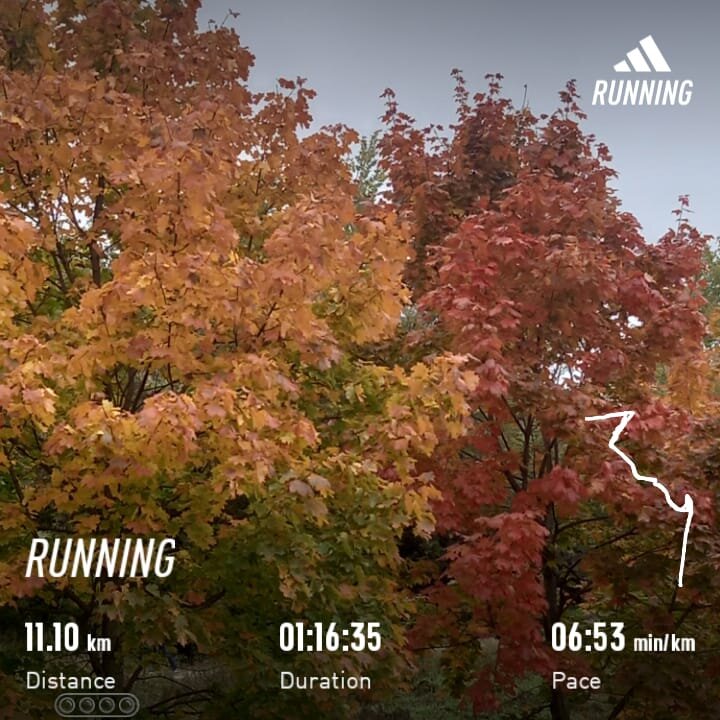 Это сегодня, 21.09.23. :) Место действия - Москва. 