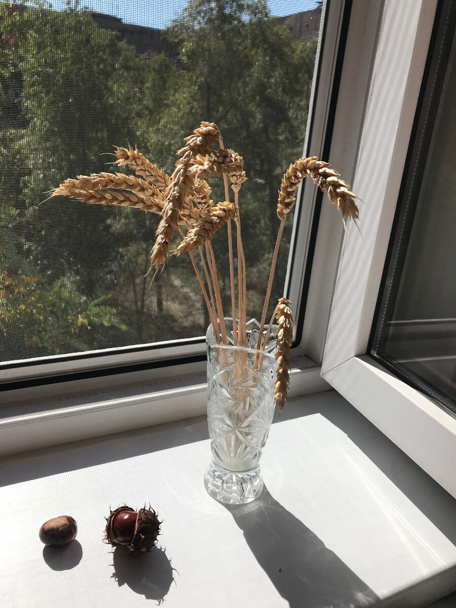 я нашла похожие в этом году