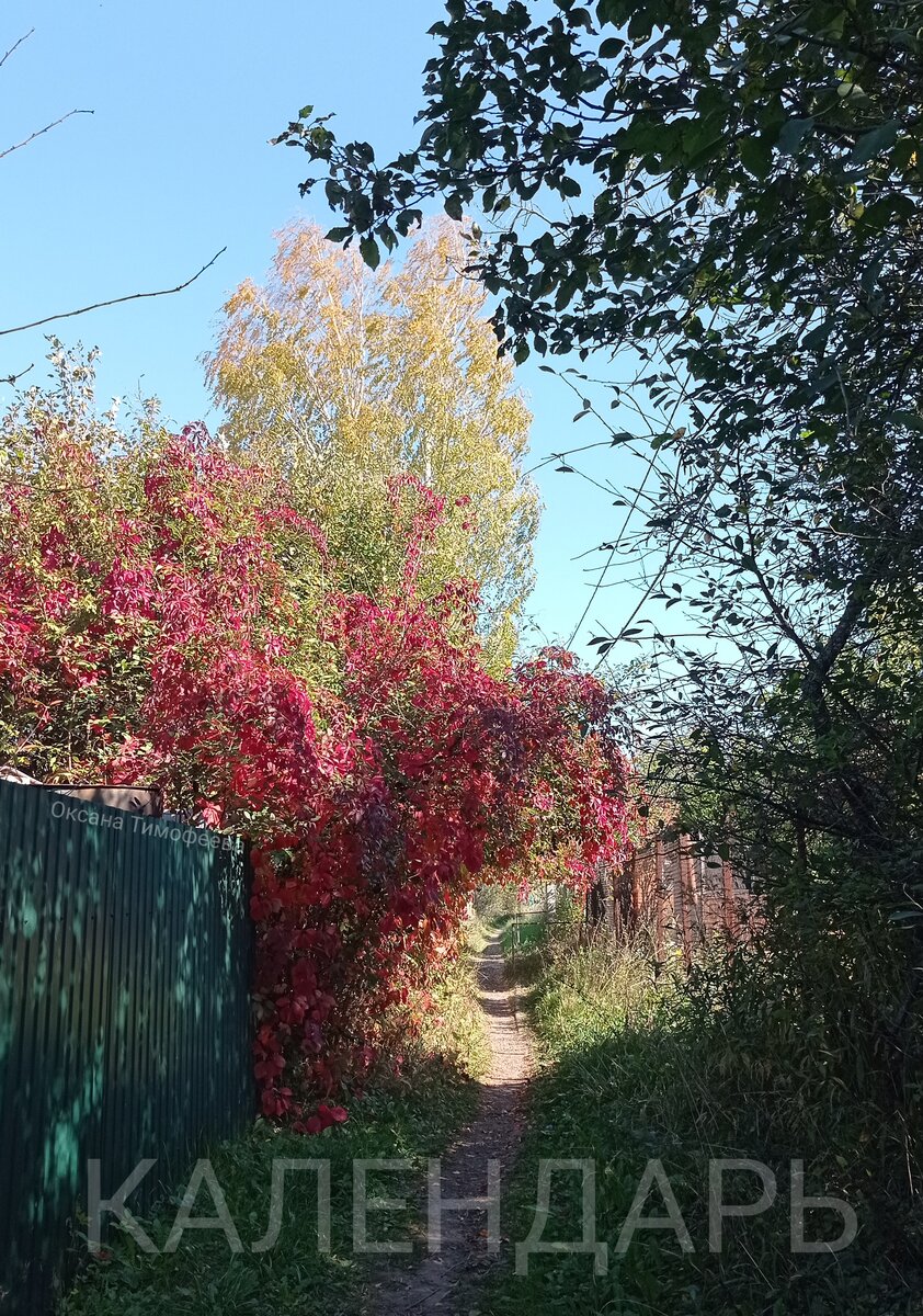 Календарь