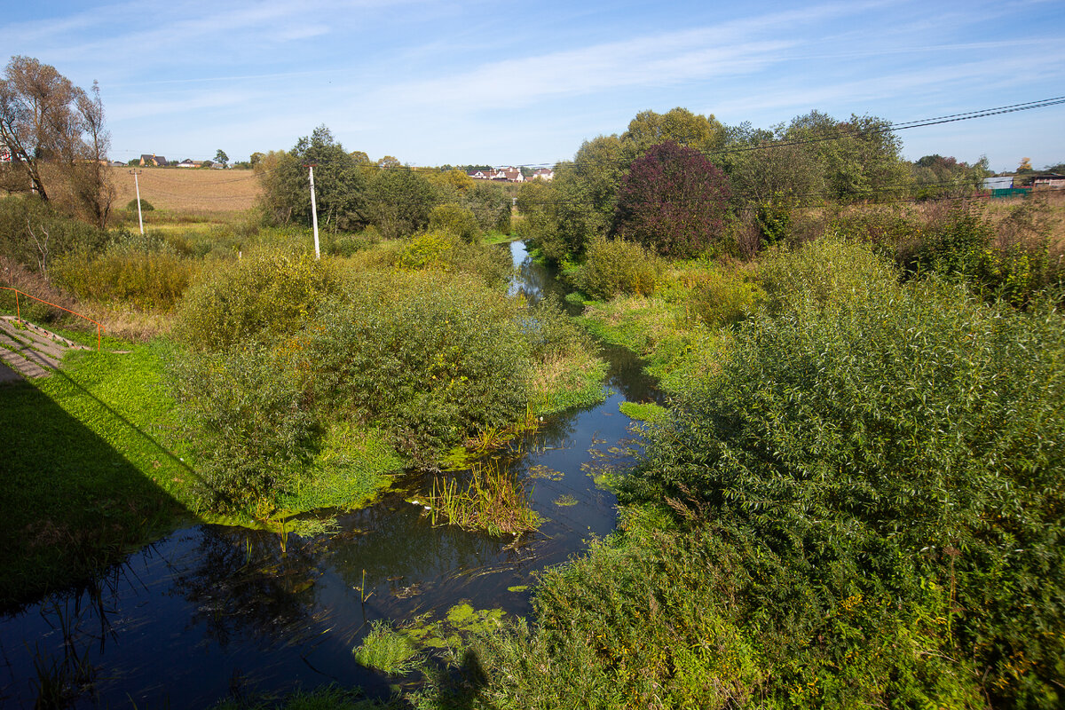 Река Маглуша у села Глебово. Городской округ Истра, Московская область. Фото автора статьи (листайте галерею, ещё 1 фото)