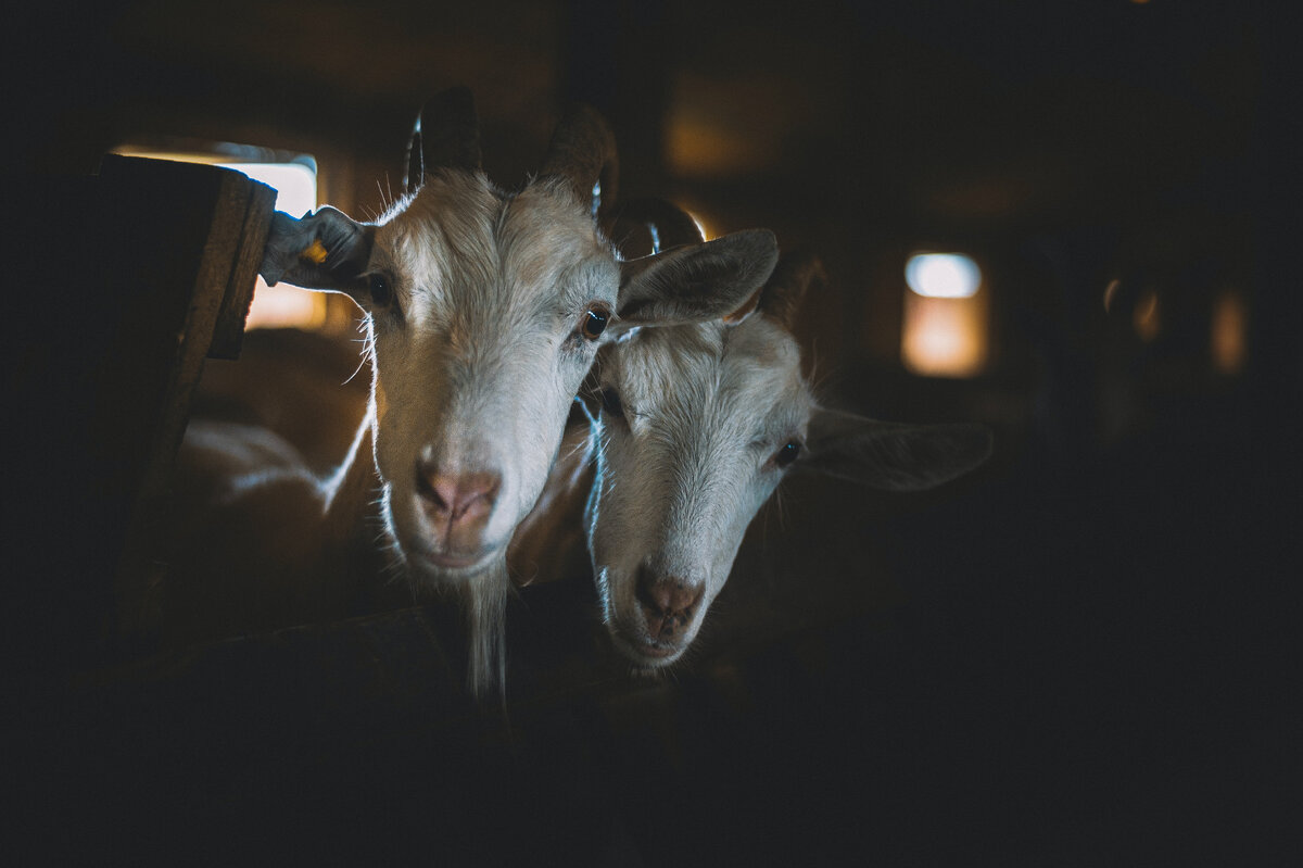 unsplash.com