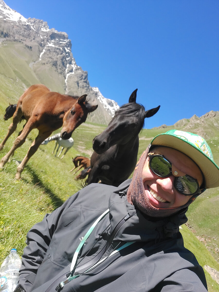 Кабардинские лошадки)