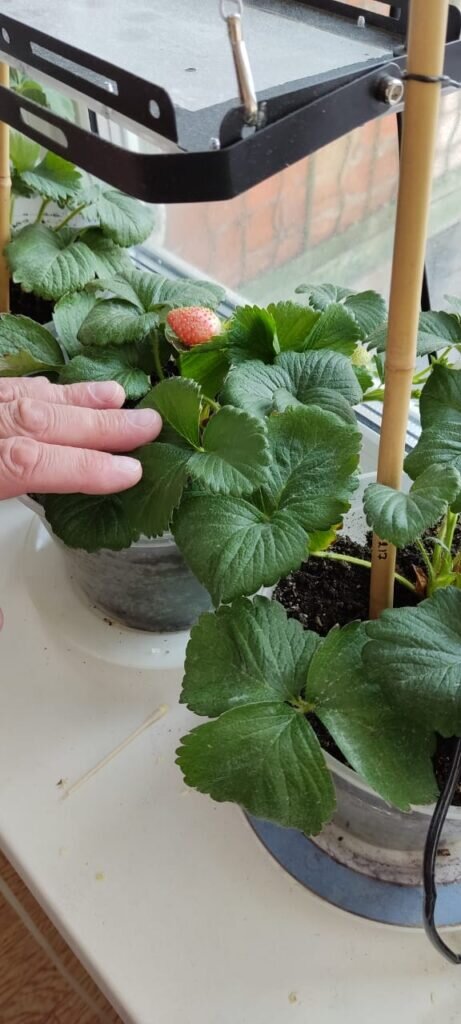    Фото: Константин Яковлев