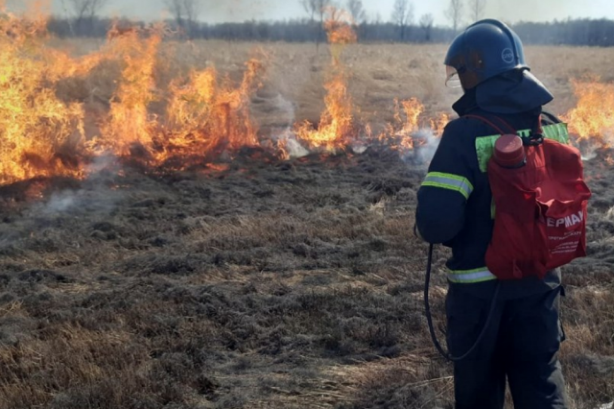    Более 270 термоточек обнаружили за сутки в лесах Хабаровского края