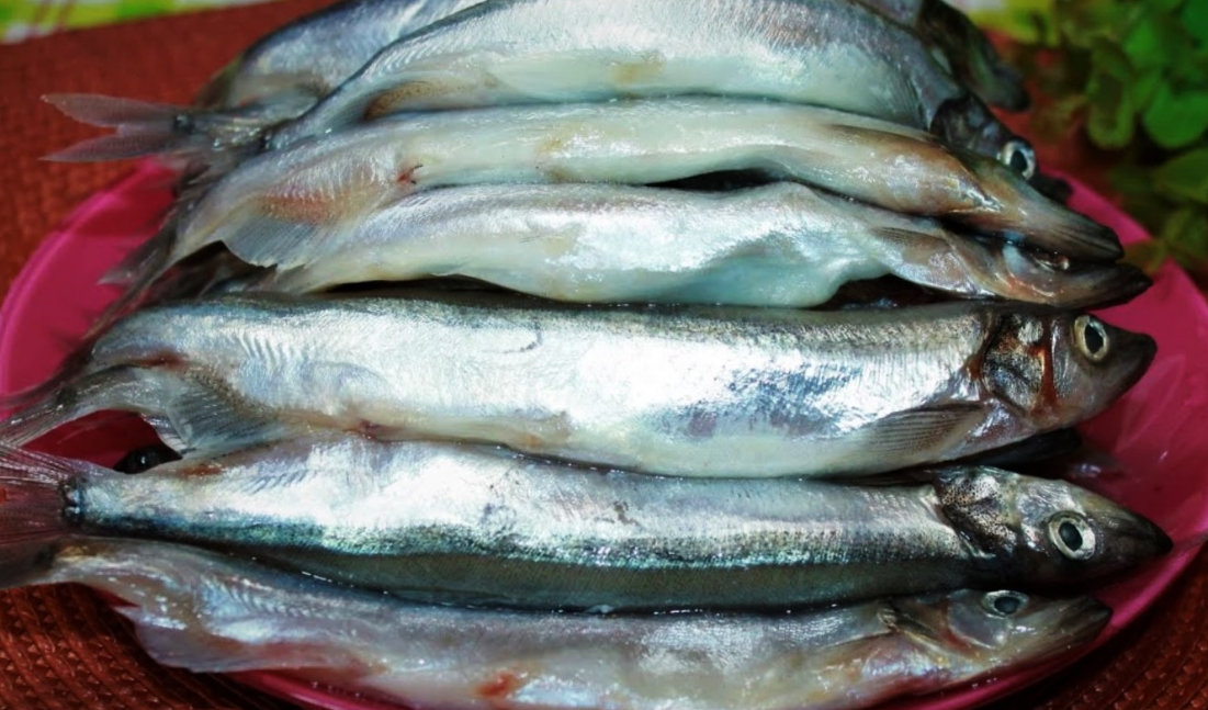 как вкусно пожарить мойву на сковороде