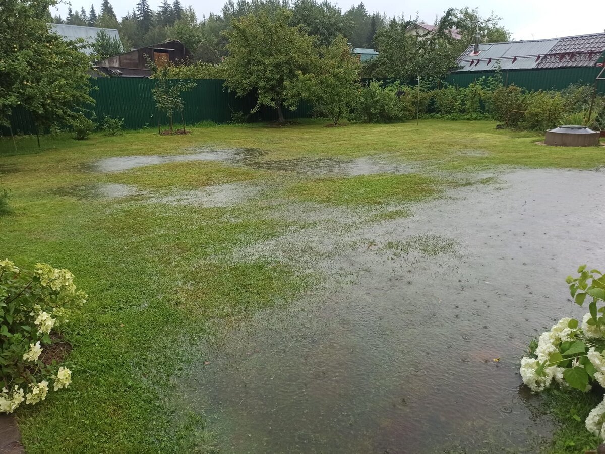 Фото автора.