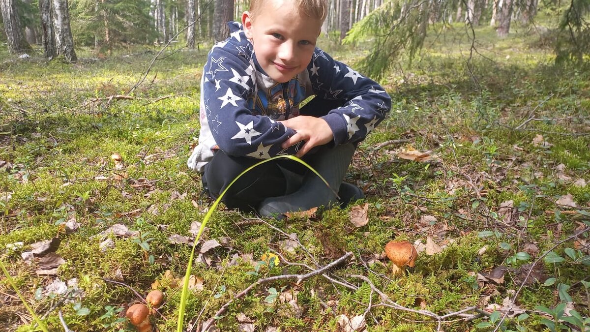 На грибной полянке