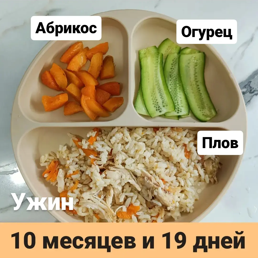 Прикорм. Тарелка 10 месяцев и 19 дней. Ужин. | В поисках дома ❤️ Вьетнам  🇻🇳 Нячанг | Дзен