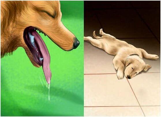 Фото с просторов 