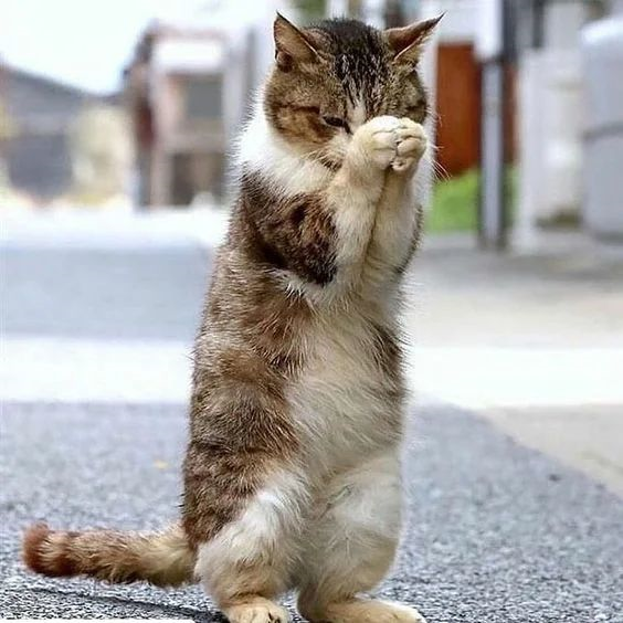 Робкого и скромного ребенка легко ранить, он закрывается от окружающих, но все слышит и понимает.