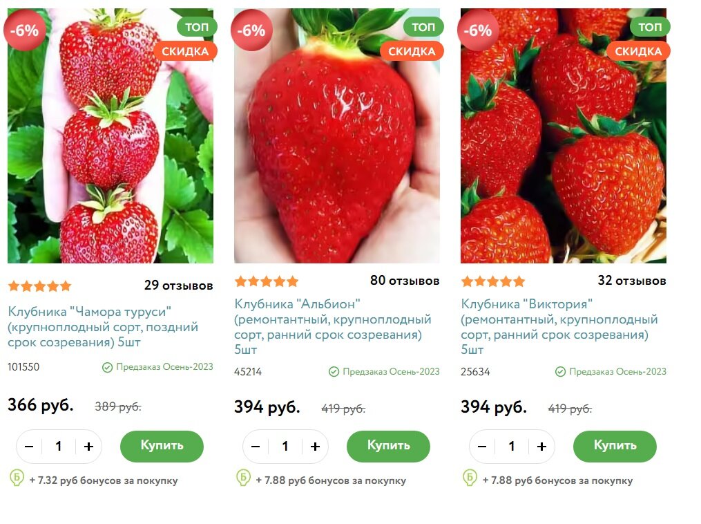 даже гибридные кусты можно легко размножить своими руками и значительно сэкономить