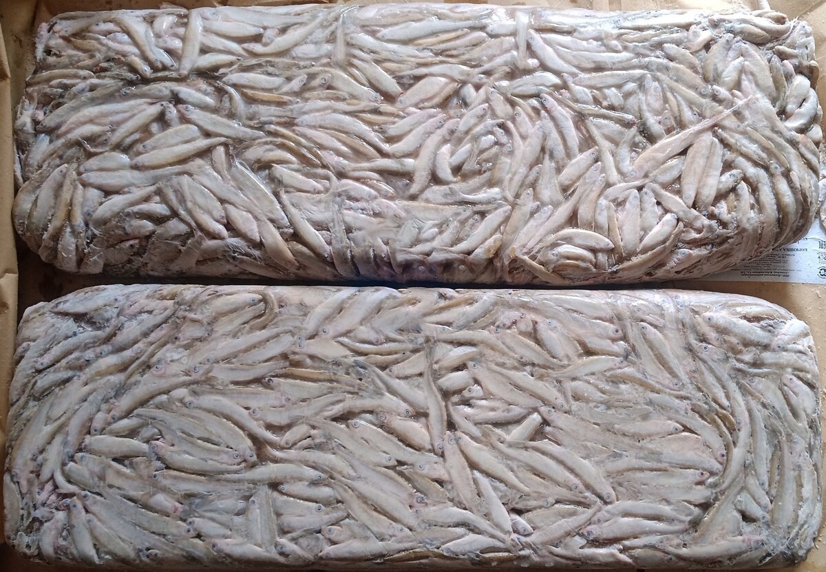 Корюшка малоротая НР, smelt W/R,  Hypomesus olidus (ООО «Восточный рыбокомбинат», ООО «ВРК»)