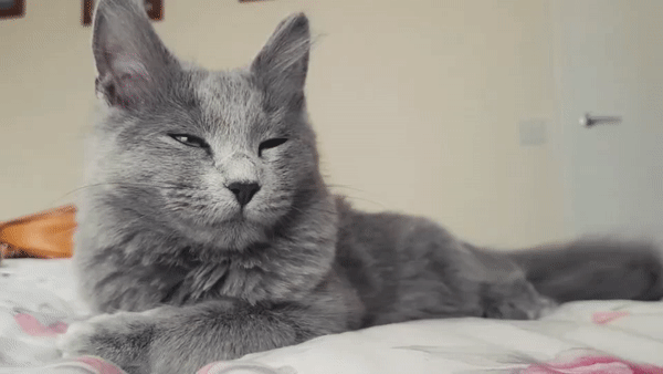          .    ,        .      ,   ?-4