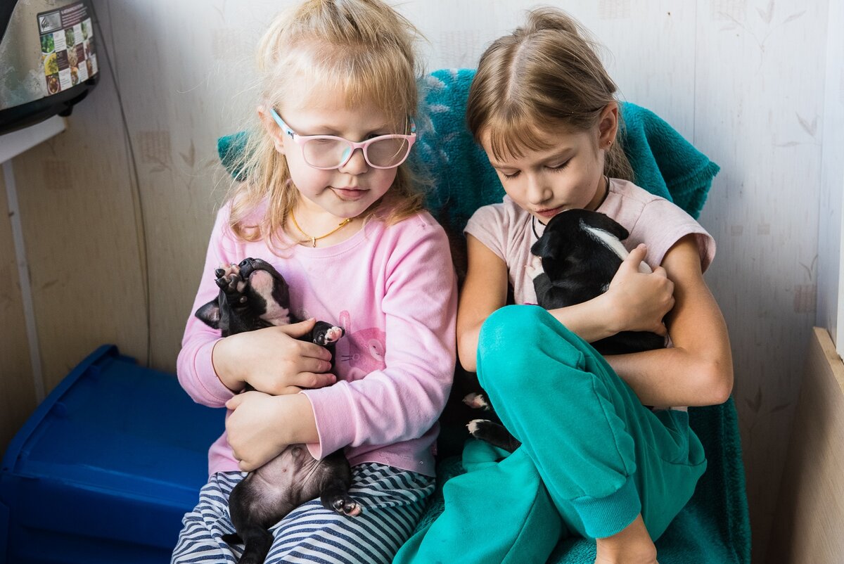 Анастасия и Алена со щенками из помета Булла и Бомбер