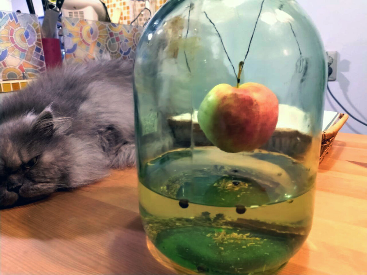 Непрерывный контроль 